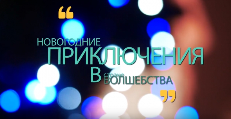 Новогодние приключения в стране волшебства