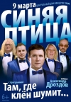 Концерт &laquo;Синяя птица&raquo; солист Александр Дроздов